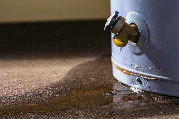 Best Basement water damage restoration  in Oak Ridge, NJ