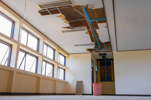 Best Water damage restoration specialists  in Oak Ridge, NJ