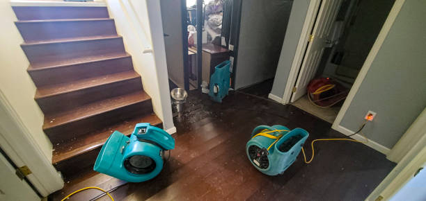 Best Flood restoration services  in Oak Ridge, NJ