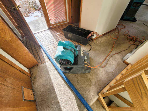 Best Water damage restoration company  in Oak Ridge, NJ