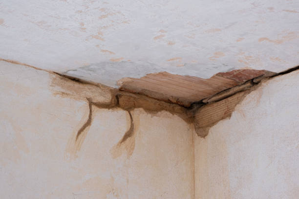 Best Water damage contractors near me  in Oak Ridge, NJ
