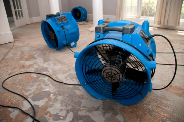Best Water damage restoration near me  in Oak Ridge, NJ