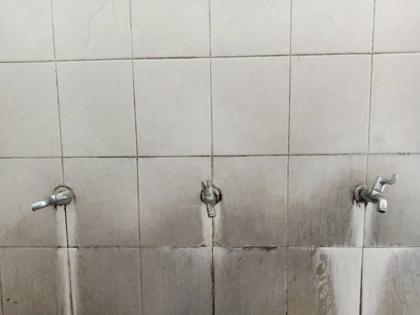 Best Ceiling water damage repair  in Oak Ridge, NJ