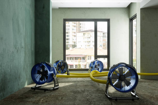 Best Sewage cleanup and water damage restoration  in Oak Ridge, NJ