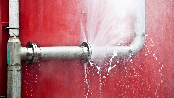 Best Professional water damage repair  in Oak Ridge, NJ